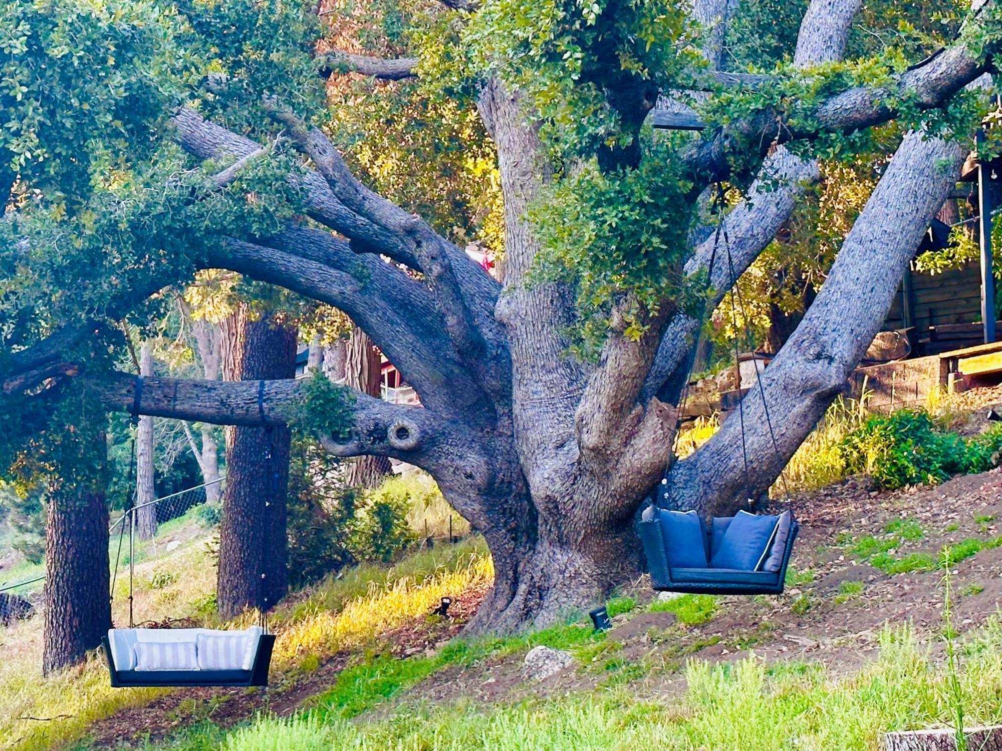 Crestline 100 Mile View-Fire Pit, Romantic, Peaceful, Private מראה חיצוני תמונה