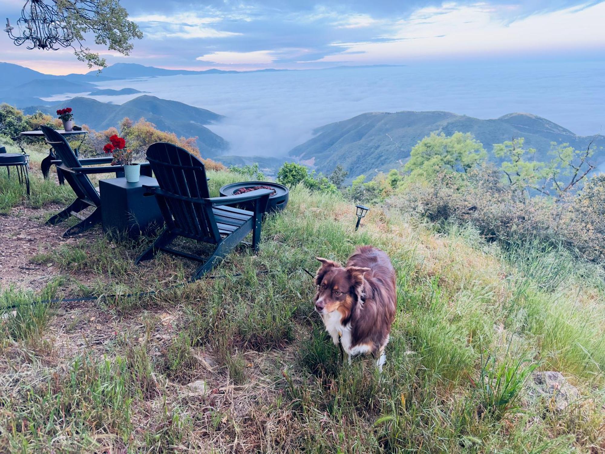 Crestline 100 Mile View-Fire Pit, Romantic, Peaceful, Private מראה חיצוני תמונה